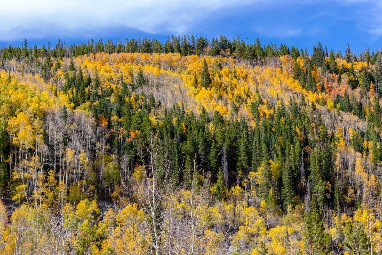Appartamento Quiet In The Pines - Permit #3120 Estes Park Esterno foto