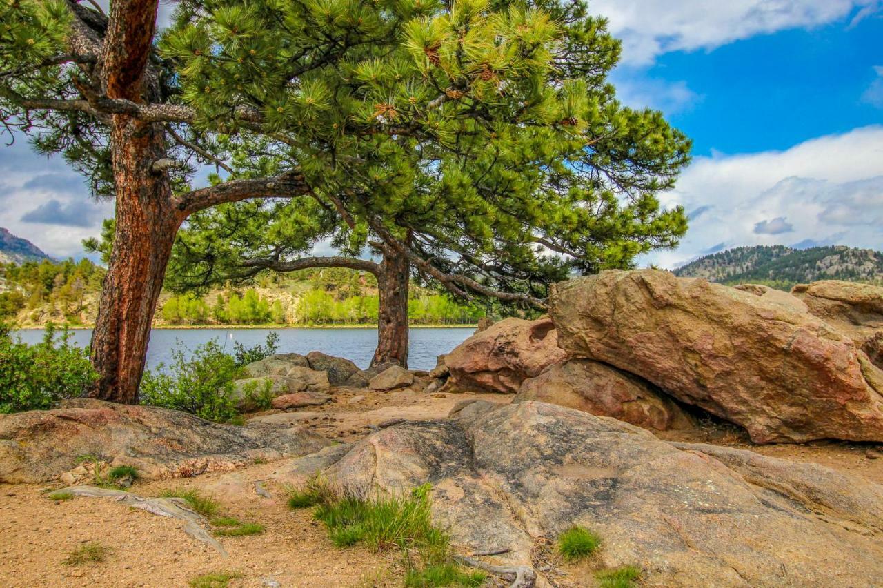 Appartamento Quiet In The Pines - Permit #3120 Estes Park Esterno foto