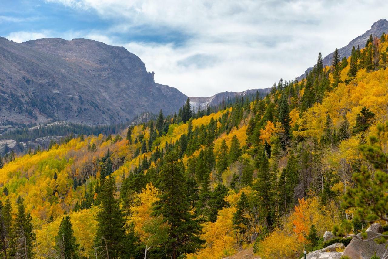 Appartamento Quiet In The Pines - Permit #3120 Estes Park Esterno foto